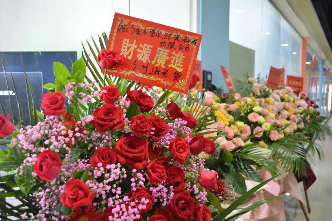 跑出世界速度，環(huán)保紙模先行者卡雷爾落地南沙